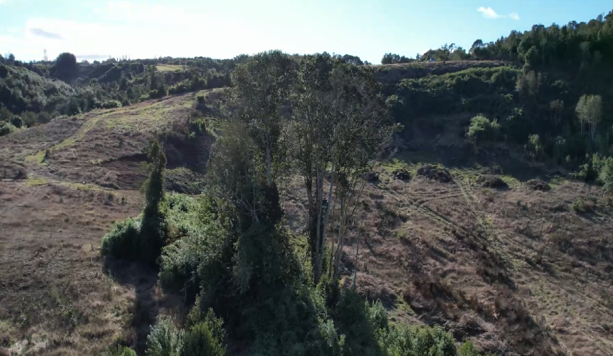 Terreno en Peninsula de Rilan
