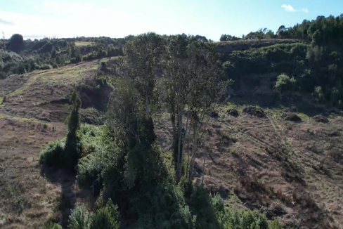 Terreno en Peninsula de Rilan
