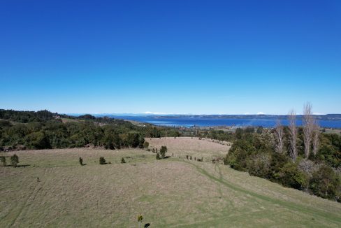 BOSQUE, ARROYO, PRADERA Y TRANQUILIDAD