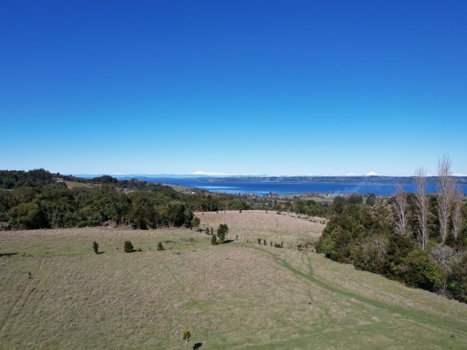BOSQUE, ARROYO, PRADERA Y TRANQUILIDAD