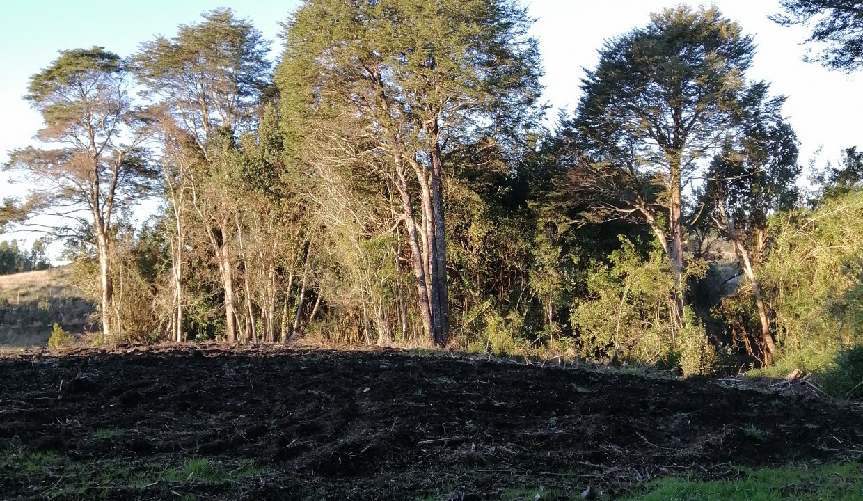 DUCÁN, PENÍNSULA DE RILÁN