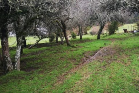 LIUCURA3