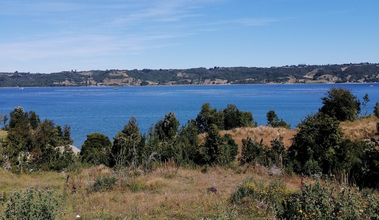 TEGUEL1