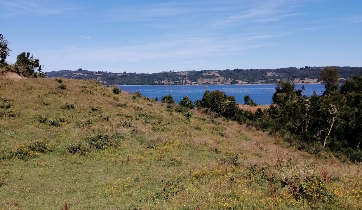 TEGUEL11