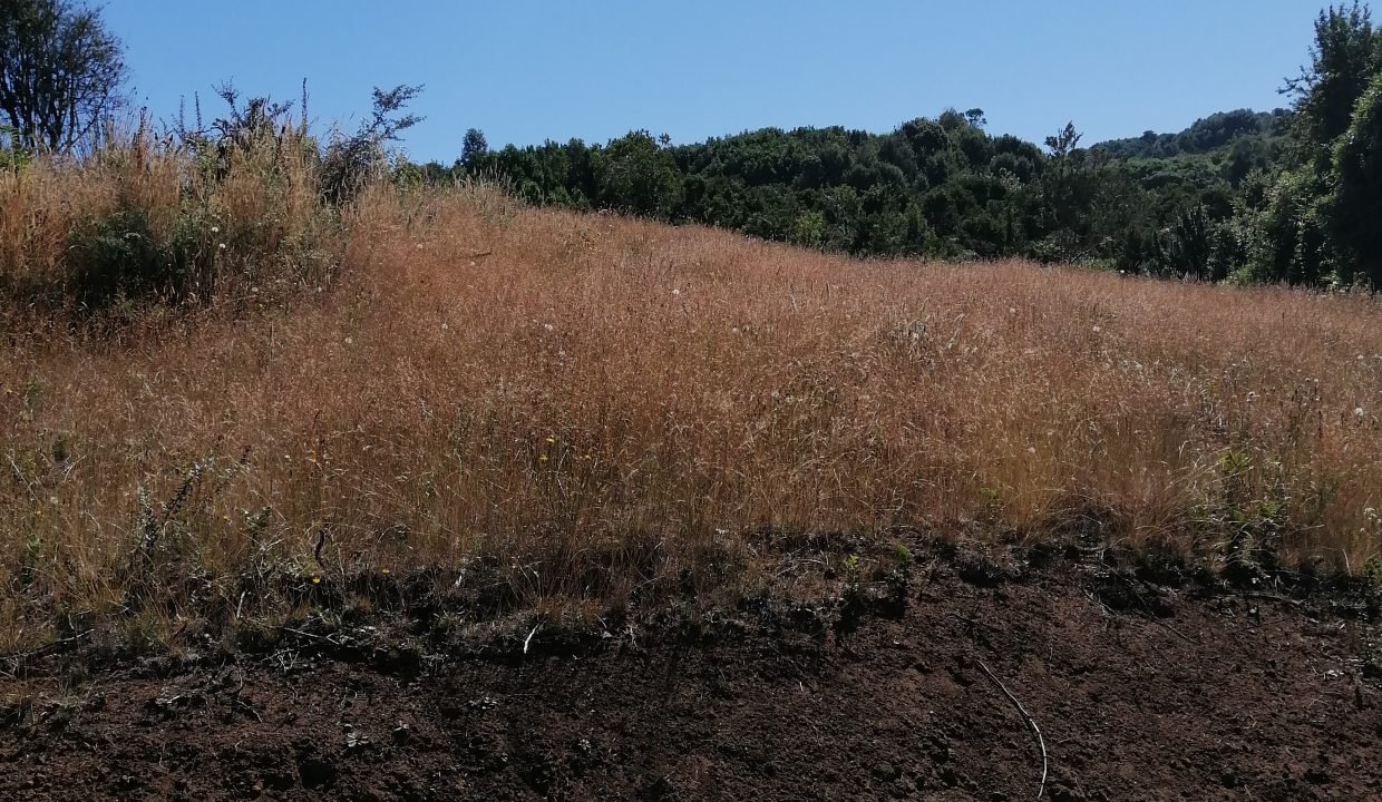 foto1