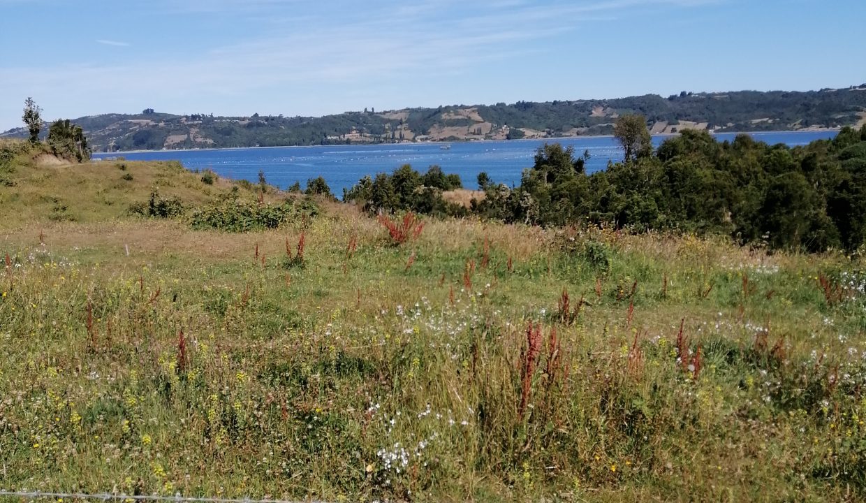 foto6